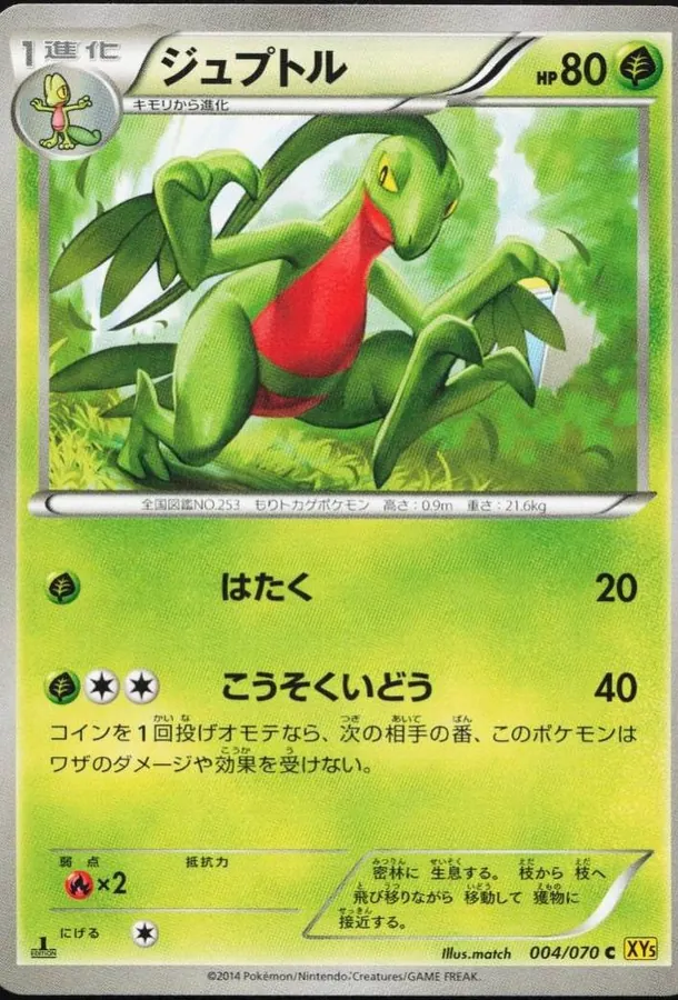 Grovyle [1st-Edition]